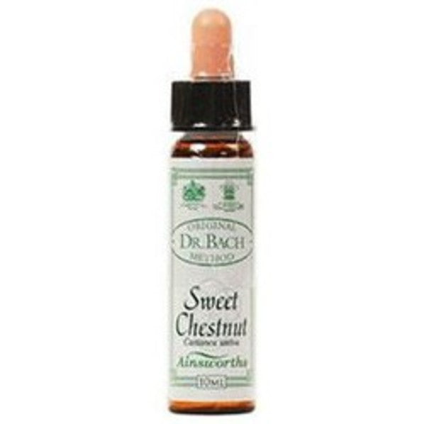 Sweet Chestnut. Ainsworth Flower remedy