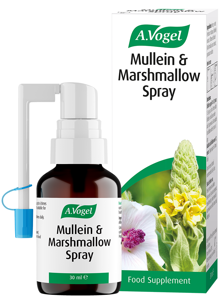 Mullein and Marshmallow Spray