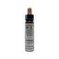 Centaury Ainsworth flower remedy