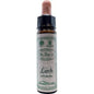 Larch Ainsworths Flower remedy 10ml