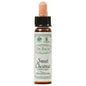 Sweet Chestnut. Ainsworth Flower remedy