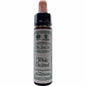 White Chestnut Ainsworth Flower remedy