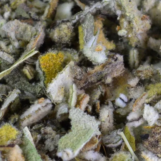 Mullein Organic Dried Herb 50gm