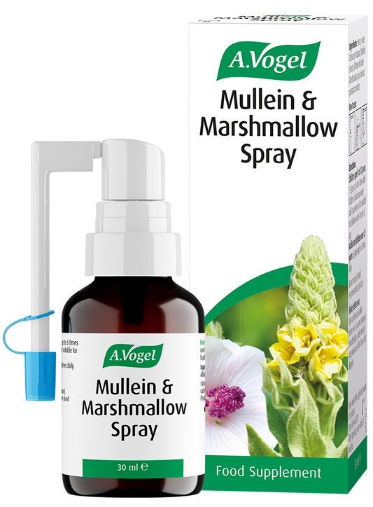 Mullein and Marshmallow Spray